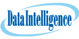 Data Intelligence LLC