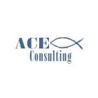 ACE Consulting Group, LLC