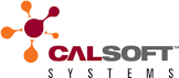 Calsoft Systems, Inc.
