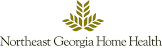 Northeast Georgia Home Health