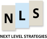 Next Level Strategies