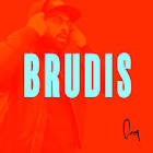 Brudis & Associates, Inc.