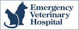 Emergency Veterinary Hospital