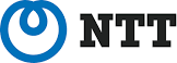 NTT America Solutions, Inc.