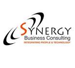 Synergy Business Consulting, Inc.