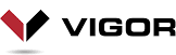 Vigor, LLC