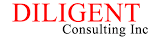 Diligent Consulting Inc