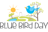 Blue Bird Day LLC
