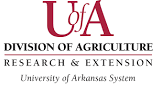 University of Arkansas System