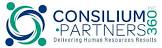 Consilium Partners360, LLC